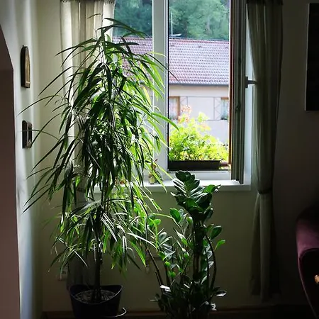 Apartamento Na Karlstejne