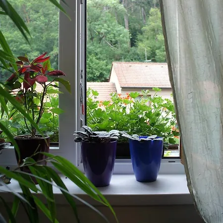 Apartamento Na Karlstejne *